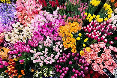 Win11新功能 告诉玩家电脑配置玩游戏是否够格