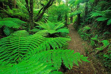 《真女神转生5》游戏资料公开 前所未有的新体验